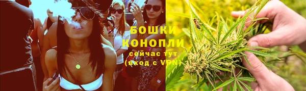 шишки Беломорск
