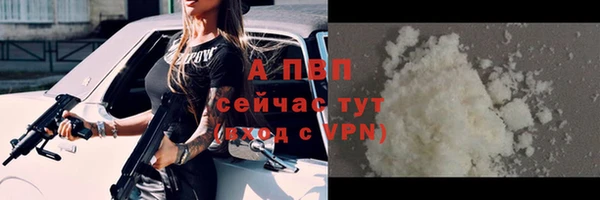шишки Беломорск