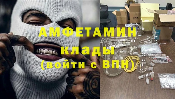 шишки Беломорск