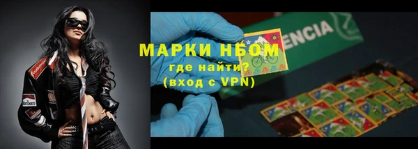 шишки Белоозёрский