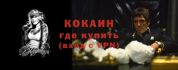 шишки Беломорск