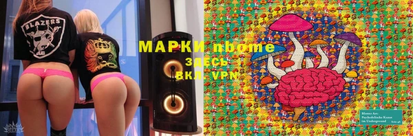 шишки Белоозёрский