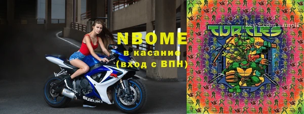 шишки Белоозёрский