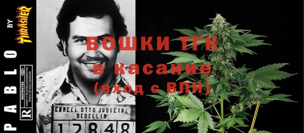 шишки Беломорск