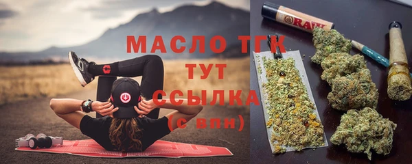 шишки Беломорск